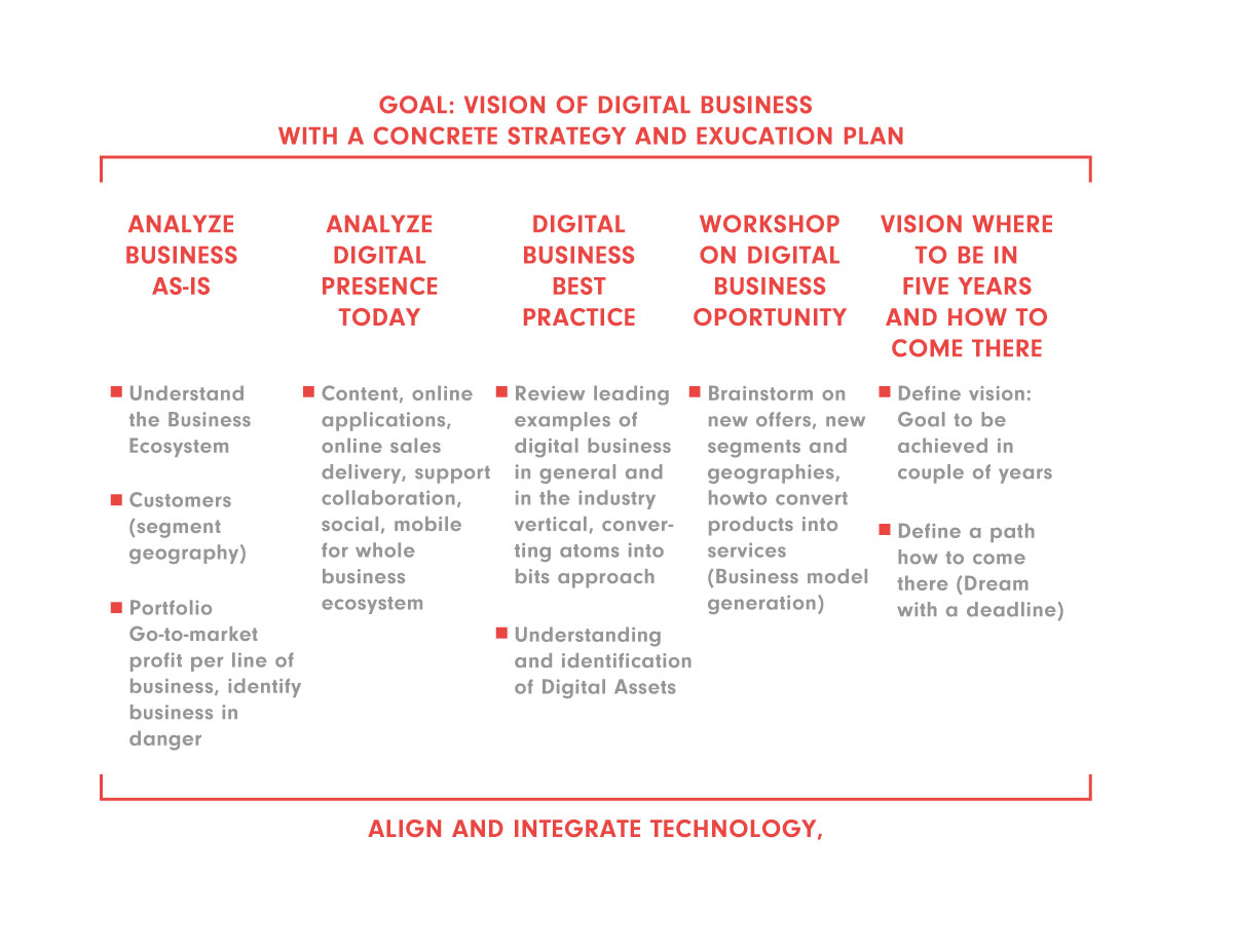 Digital-framework---Petrol